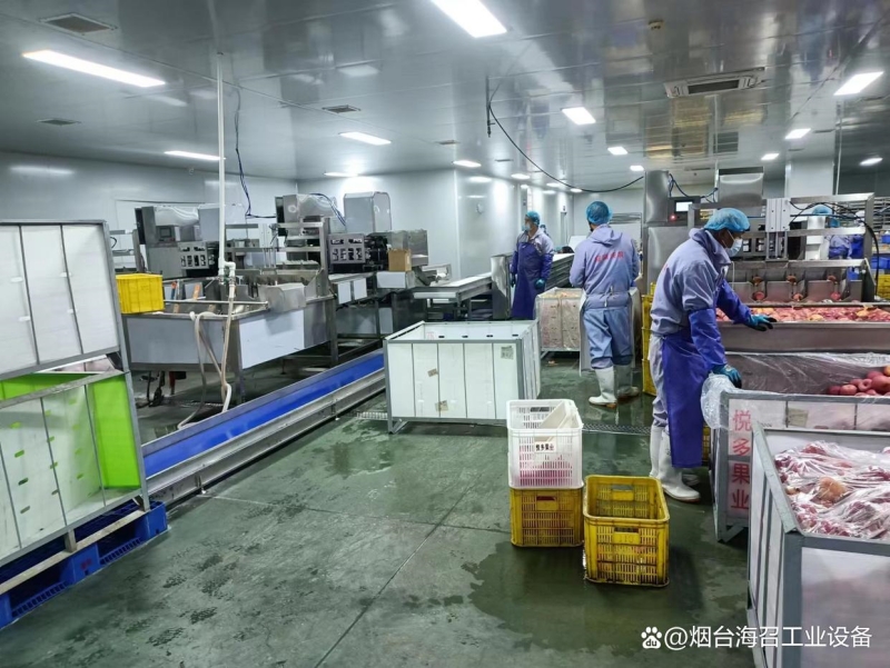 食品行業(yè)皮帶輸送機.jpg